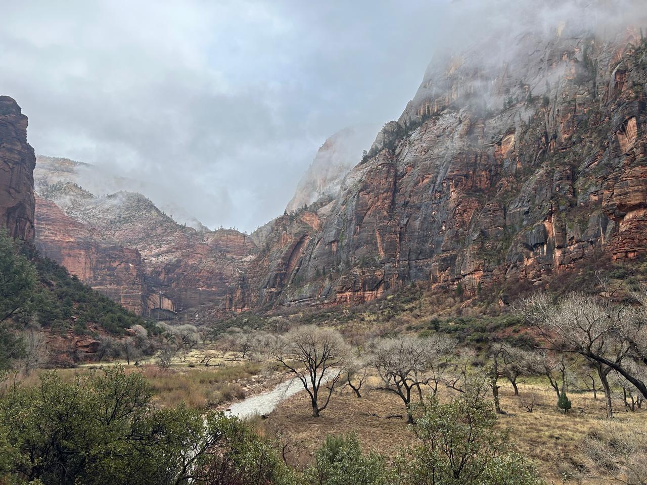 Zion scenery